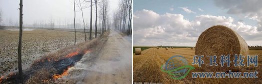 目前，我國各類秸稈年產(chǎn)量約為10億噸