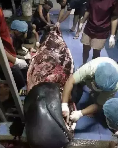 1557021886746381.png image.png