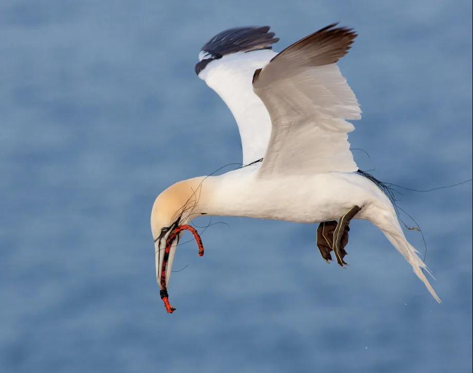 1611808136825404.jpg p25_b.jpg