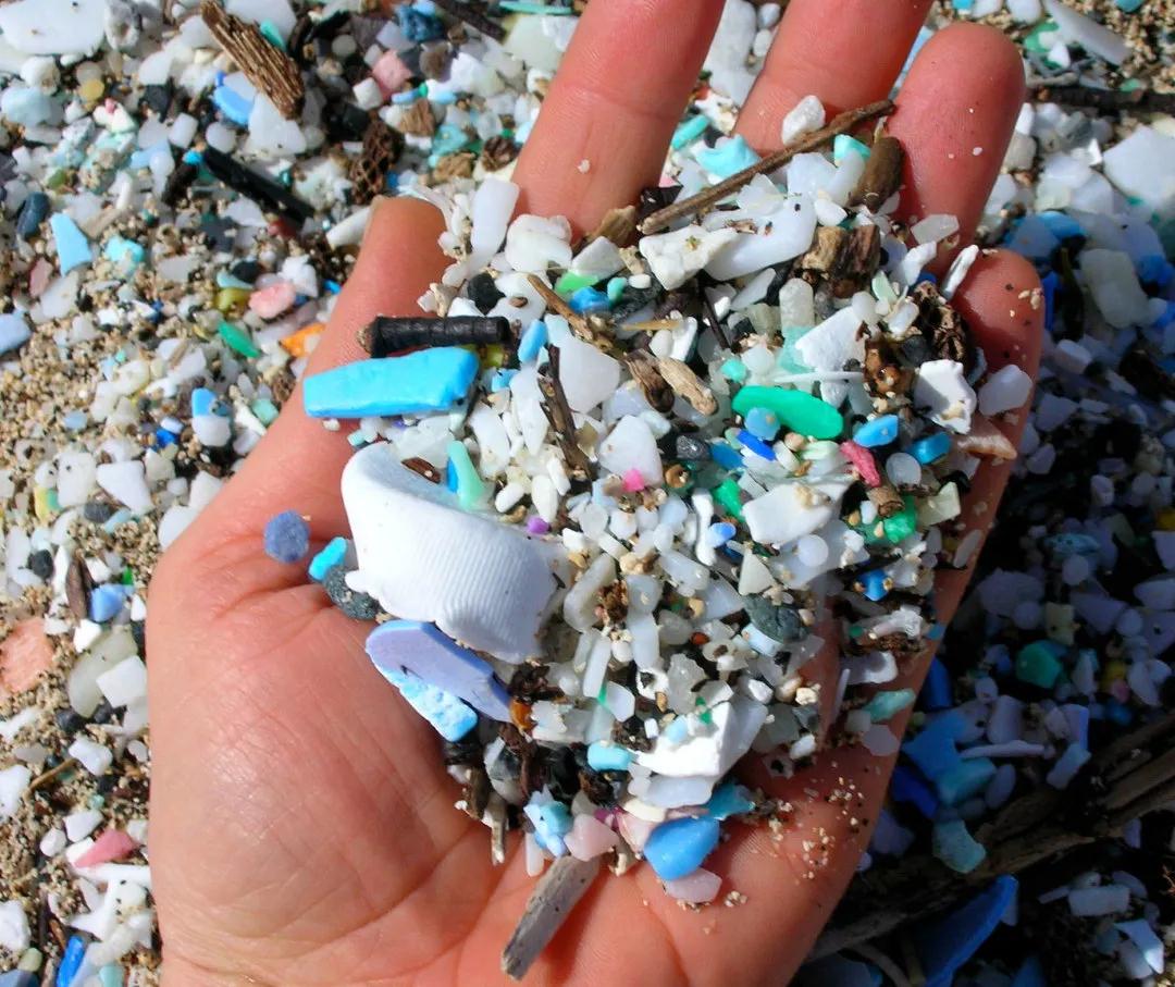 1611808371856802.jpg p25_b.jpg